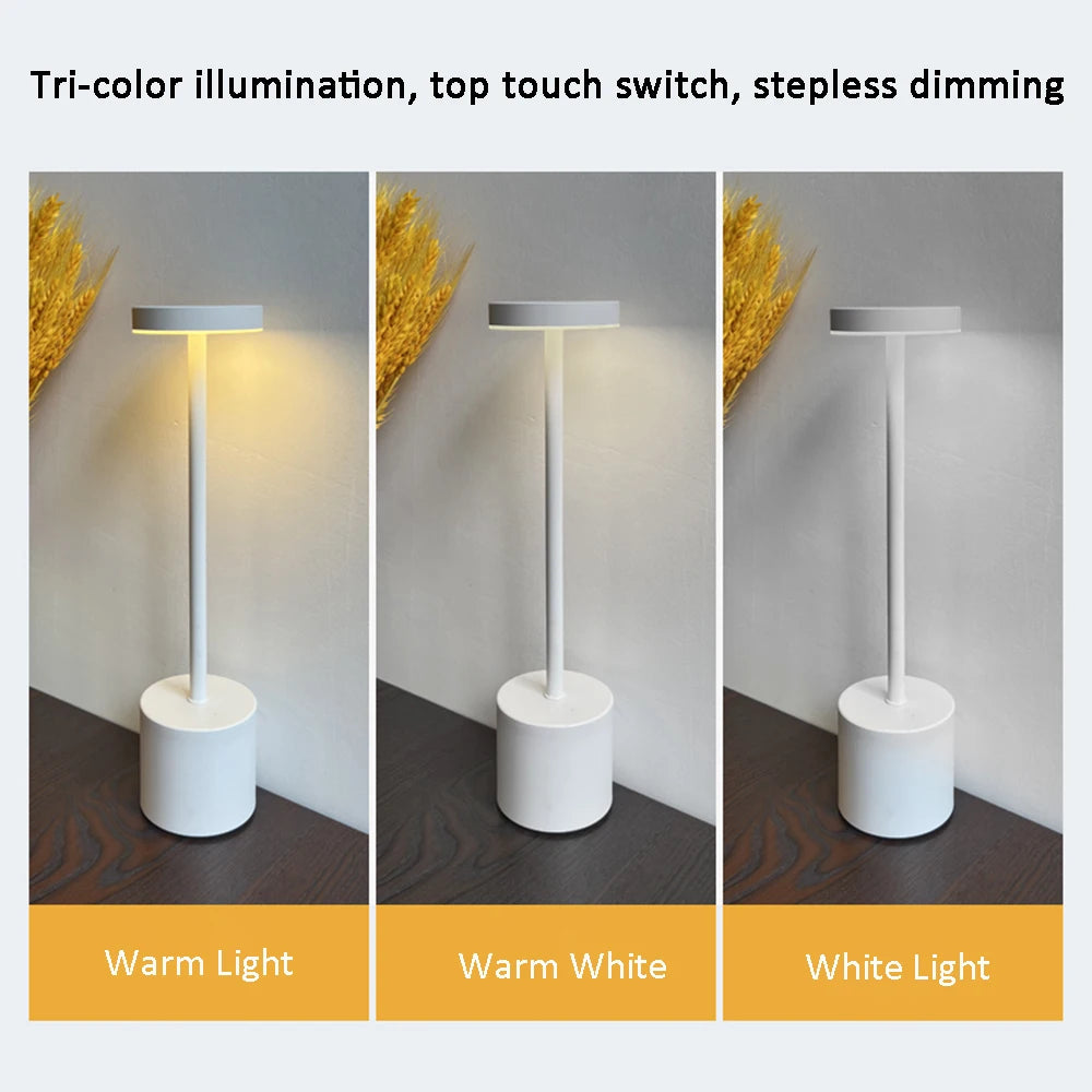Metallic LED Desk Lamp
